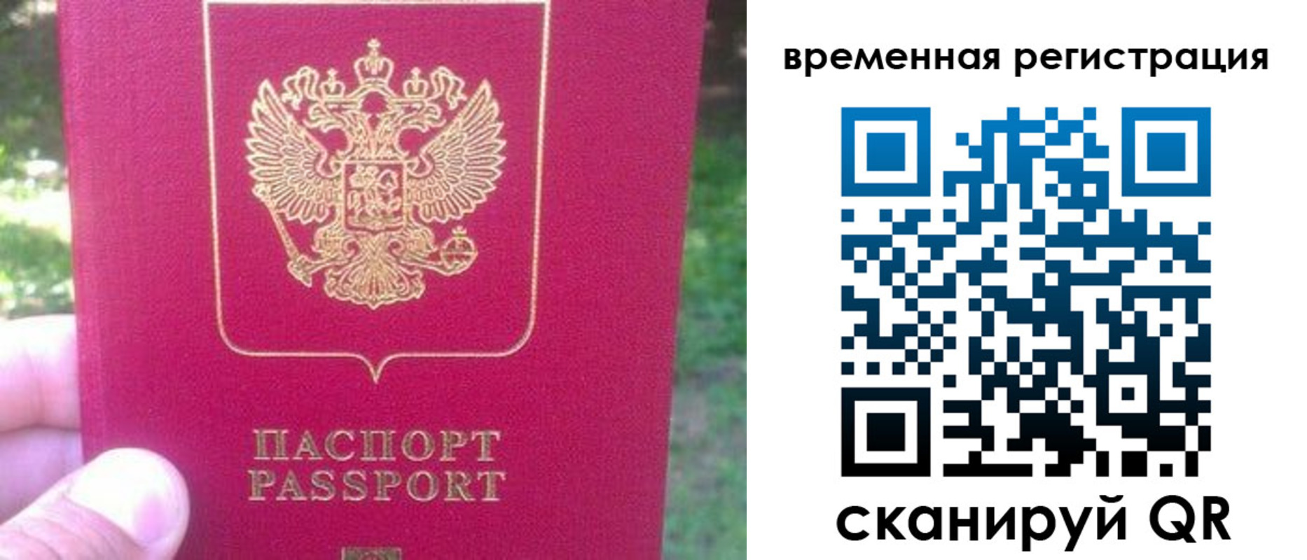 временная регистрация для школы в Заречном